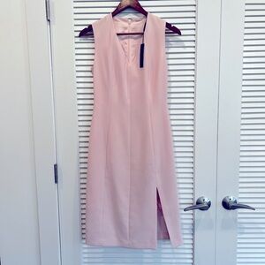 Elie Tahari Lace Slit Dress / Color: Shell (Light Pink) / Size 2 / NWT